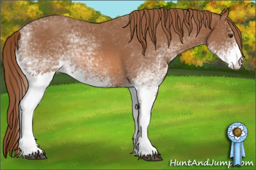 Horse Color: White Spotted Chestnut 
