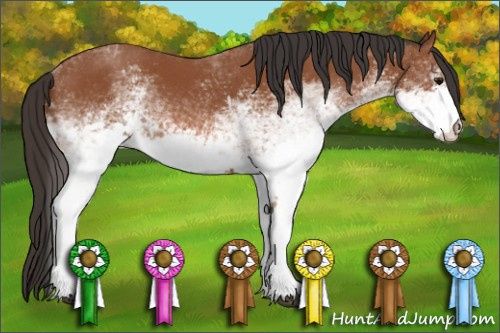 Horse Color: White Spotted Bay 