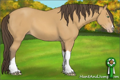 Horse Color: Amber Cream Champagne 