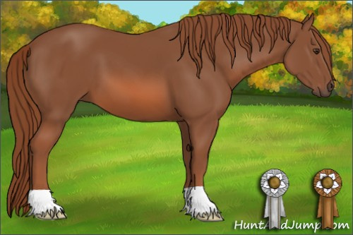Horse Color: Liver Chestnut 