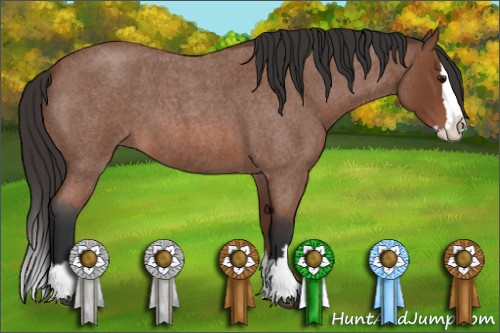 Horse Color: Bay Roan Splash 
