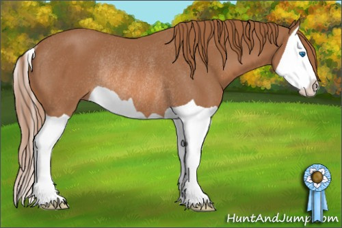 Horse Color: Chestnut Splash Rabicano 