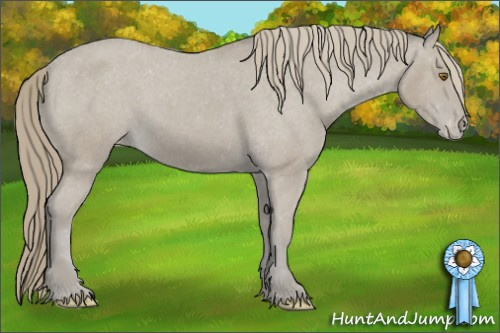 Horse Color: Sable Cream Champagne Varnish 