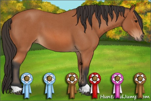 Horse Color: Bay Roan 
