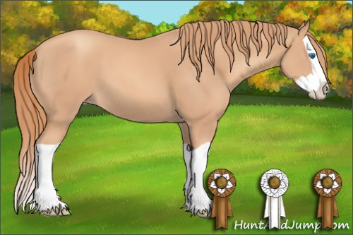 Horse Color: Gold Champagne Splash 