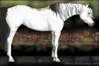 Horse Color:Gray White Spotted Buckskin Ice Frame 