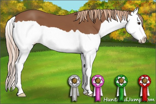 Horse Color: Chestnut Splash 