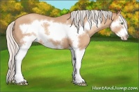 Horse Color:Silver Classic Champagne Sabino Splash Frame