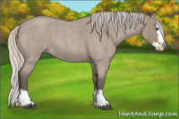 Horse Color:Silver Grullo Roan Sabino Splash 
