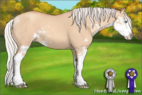 Horse Color: Silver Amber Champagne Dun Sabino Splash 