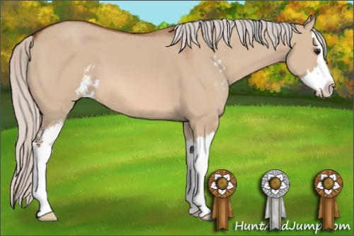 Horse Color: Silver Bay Dun Sabino Splash 