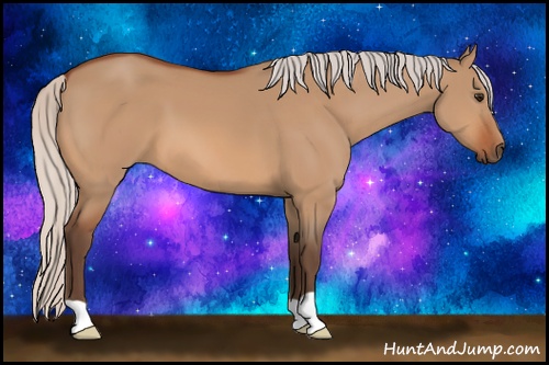 Horse Color: Silver Bay Dun 