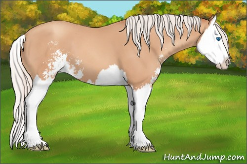 Horse Color: Silver Classic Champagne Sabino Splash 