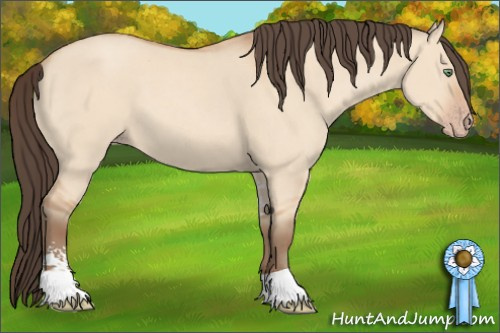 Horse Color: Amber Champagne Dun Sabino 