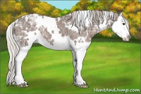Horse Color:White Spotted Silver Black Ice Splash