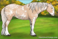 Horse Color:White Spotted Silver Bay Ice Pearl Splash
