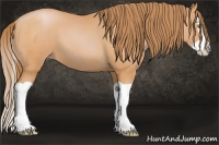 Horse Color:Bay Pearl Splash 