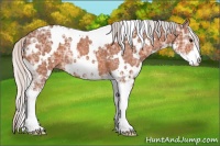 Horse Color:White Spotted Silver Bay Ice Sabino