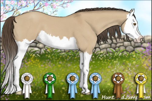 Horse Color: Classic Cream Champagne Dun Splash 