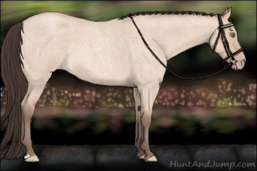 Horse Color: Amber Champagne Roan Dun 