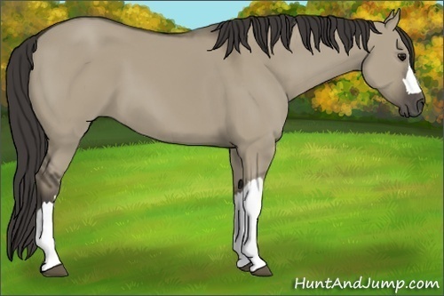 Horse Color: Smoky Grullo 