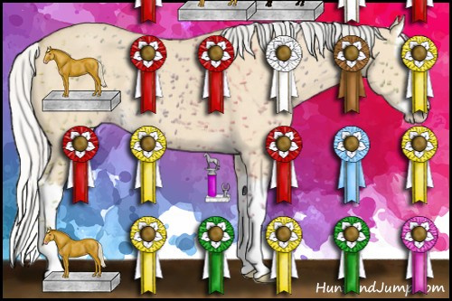 Horse Color: Silver Classic Cream Champagne Dun Splash 
