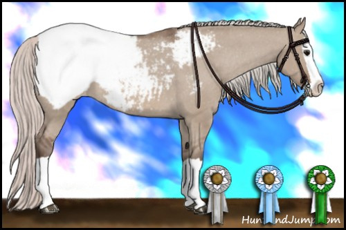 Horse Color: Silver Brown Dun Splash Snowcap 