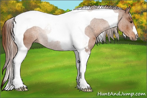 Horse Color: Chestnut Tobiano 