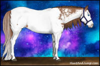 Horse Color:Chestnut Splash Snowcap 