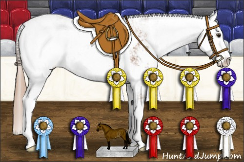 Horse Color: Chestnut Sabino Varnish Rabicano 