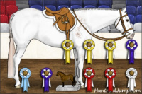 Horse Color:Chestnut Sabino Varnish Rabicano 