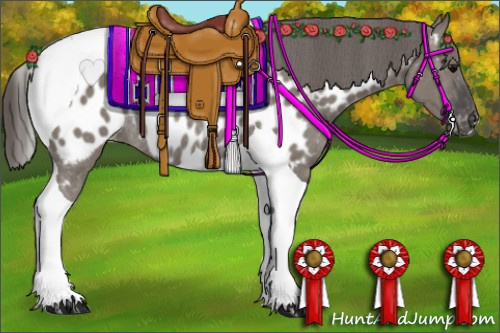 Horse Color: Grullo Tobiano Near Leopard Rabicano 