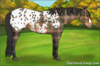 Horse Color:Plaid Bay Blanket