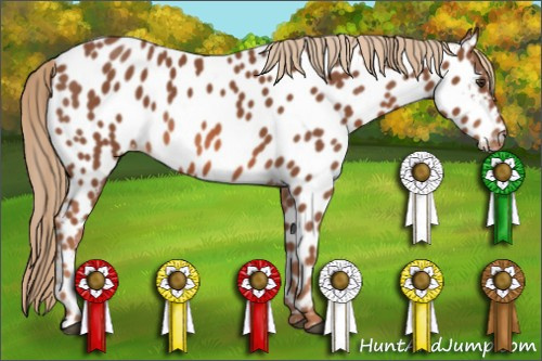 Horse Color: Chestnut Near Leopard 