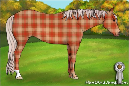 Horse Color: Plaid  Silver Bay 