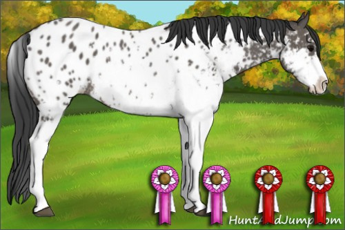 Horse Color: Brown Sabino Near Leopard Rabicano 