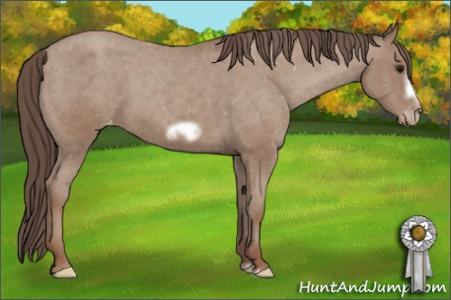 Horse Color: Sable Champagne Frame Varnish 