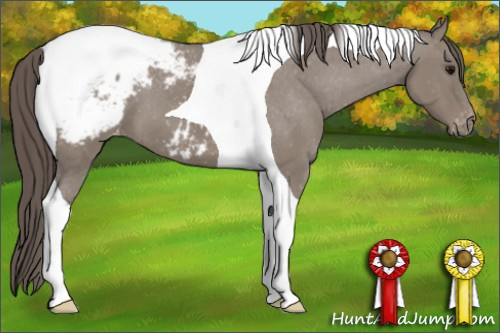Horse Color: Grullo Tobiano Snowcap 