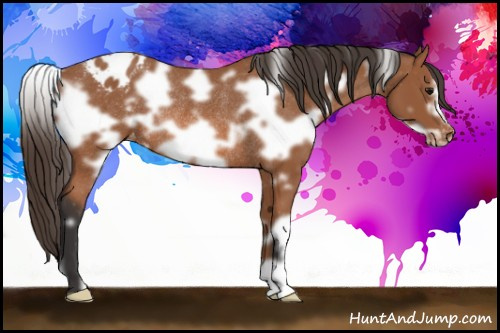 Horse Color: White Spotted Bay Frame Blanket Rabicano 