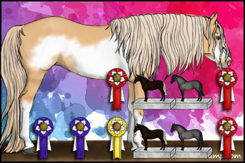 Horse Color: Chocolate Palomino Dun Frame 