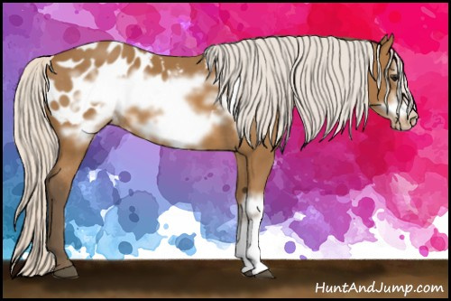 Horse Color: Silver Buckskin Frame Blanket 