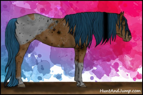 Horse Color: ERROR: UNKNOWN ANOMALY