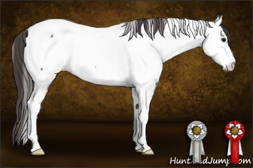 Horse Color: Brown Tobiano Frame Near Fewspot 