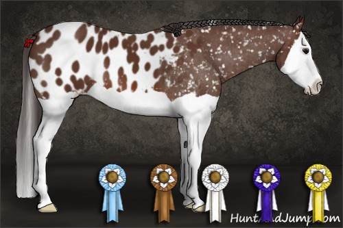 Horse Color: Bay Splash Blanket 