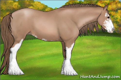 Horse Color: Black Pearl Sabino 