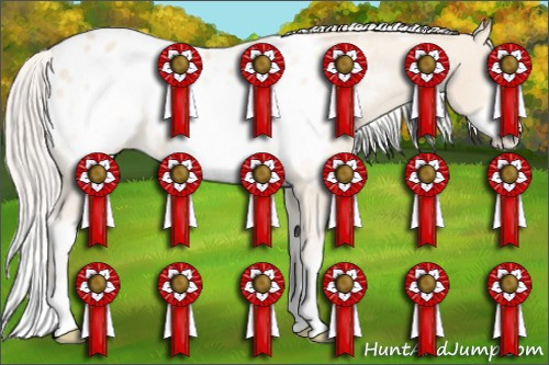 Horse Color: White Spotted Cremello Sabino Frame Blanket 