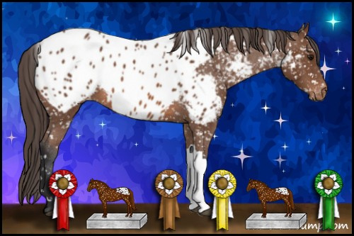 Horse Color: Bay Blanket 