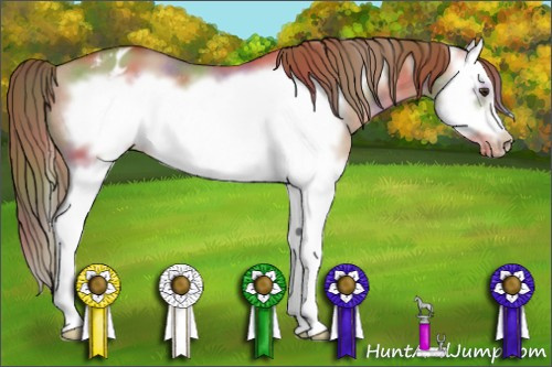Horse Color: Nacre Red Dun Splash Frame Varnish 