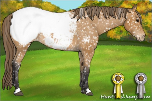 Horse Color: Buckskin Snowcap 