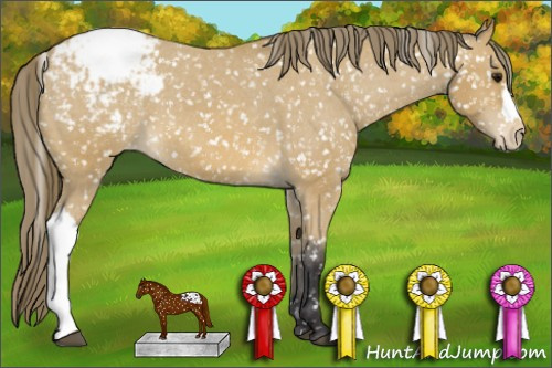 Horse Color: Buckskin Snowflake Varnish